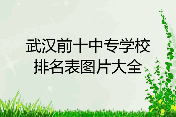 武汉前十中专学校排名表图片大全