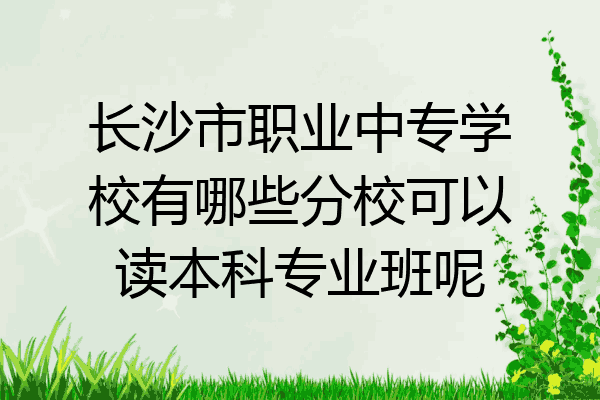 长沙市职业中专学校有哪些分校可以读本科专业班呢