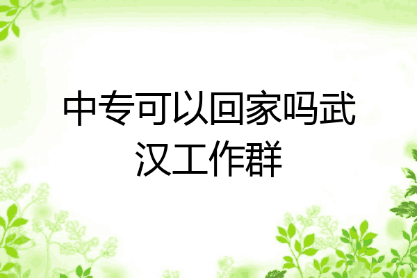 中专可以回家吗武汉工作群
