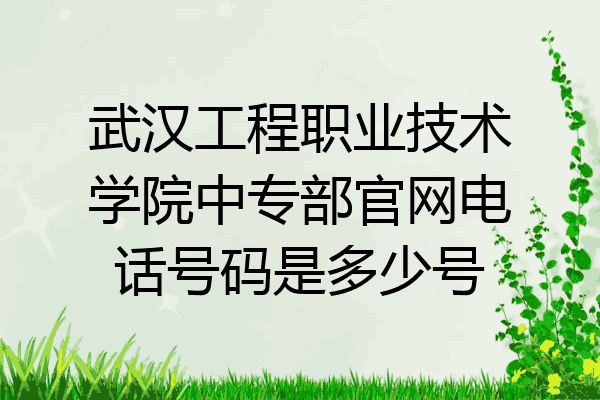 武汉工程职业技术学院中专部官网电话号码是多少号