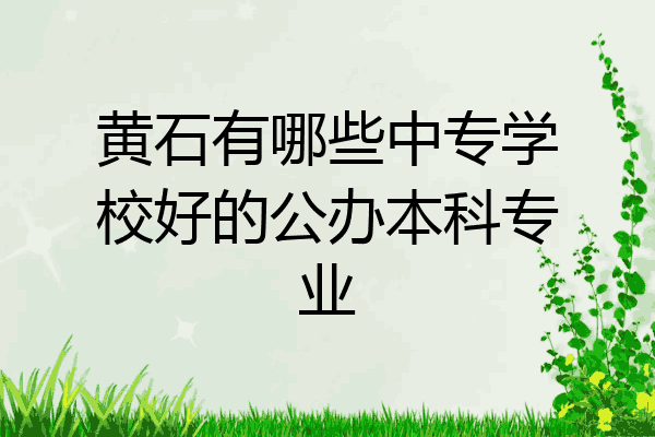 黄石有哪些中专学校好的公办本科专业