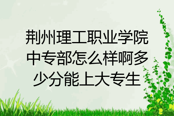 荆州理工职业学院中专部怎么样啊多少分能上大专生