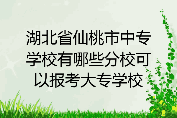 湖北省仙桃市中专学校有哪些分校可以报考大专学校
