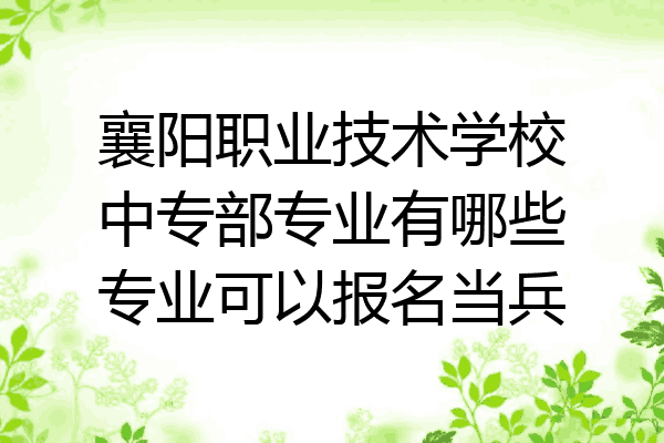 襄阳职业技术学校中专部专业有哪些专业可以报名当兵