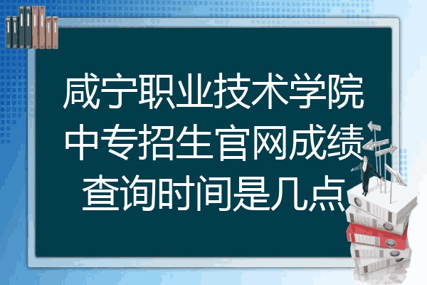 咸宁职业技术学院中专招生官网成绩查询时间是几点