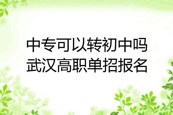 中专可以转初中吗武汉高职单招报名