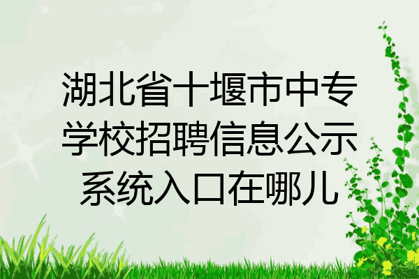 湖北省十堰市中专学校招聘信息公示系统入口在哪儿