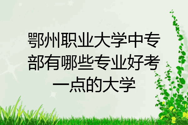 鄂州职业大学中专部有哪些专业好考一点的大学