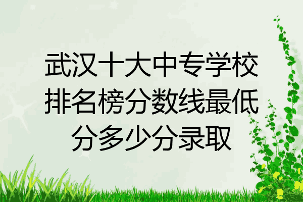 武汉十大中专学校排名榜分数线最低分多少分录取