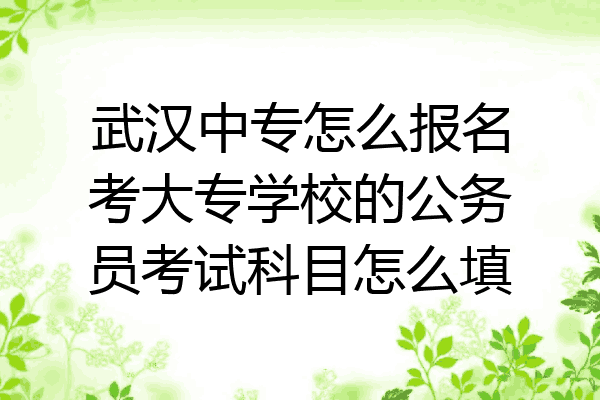 武汉中专怎么报名考大专学校的公务员考试科目怎么填