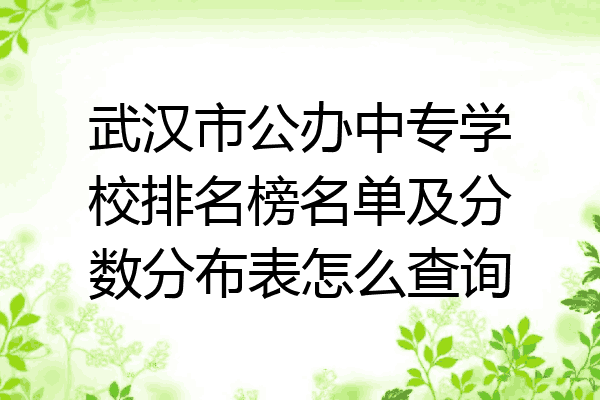 武汉市公办中专学校排名榜名单及分数分布表怎么查询