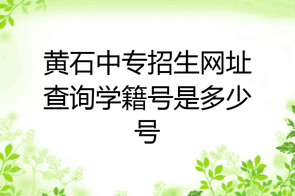黄石中专招生网址查询学籍号是多少号