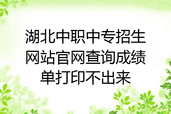 湖北中职中专招生网站官网查询成绩单打印不出来