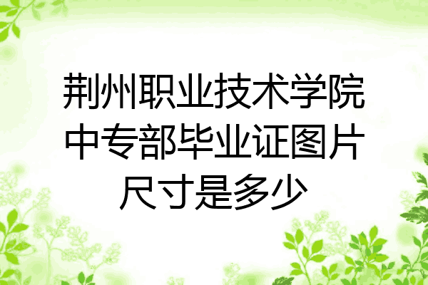 荆州职业技术学院中专部毕业证图片尺寸是多少