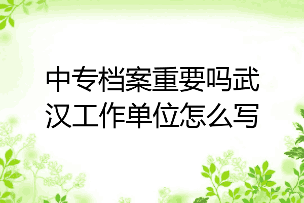 中专档案重要吗武汉工作单位怎么写