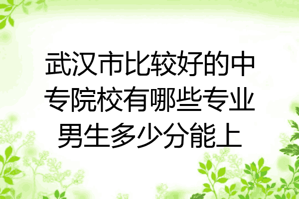 武汉市比较好的中专院校有哪些专业男生多少分能上