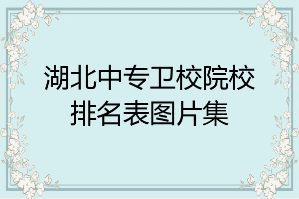 湖北中专卫校院校排名表图片集