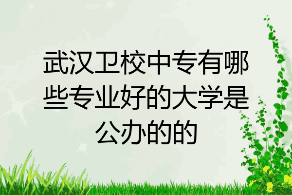 武汉卫校中专有哪些专业好的大学是公办的的