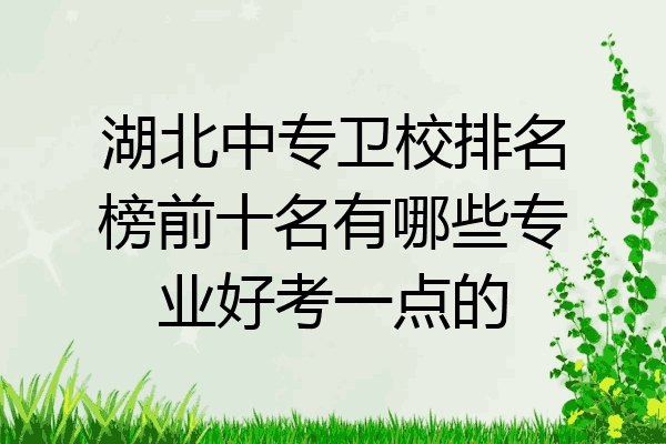 湖北中专卫校排名榜前十名有哪些专业好考一点的