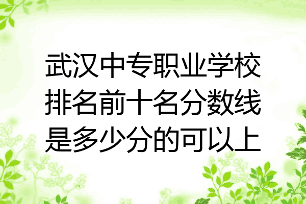 武汉中专职业学校排名前十名分数线是多少分的可以上
