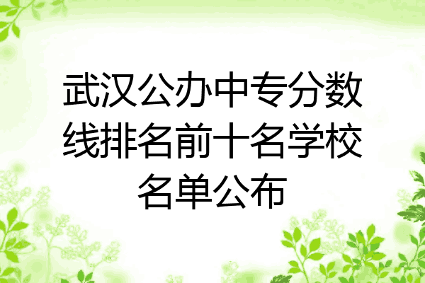武汉公办中专分数线排名前十名学校名单公布