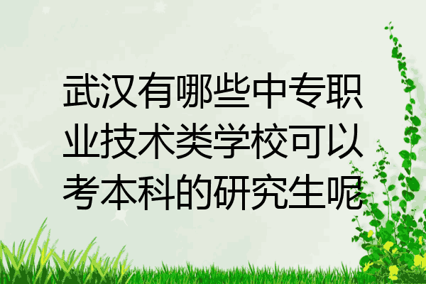 武汉有哪些中专职业技术类学校可以考本科的研究生呢