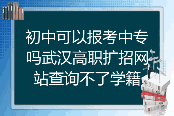 初中可以报考中专吗武汉高职扩招网站查询不了学籍