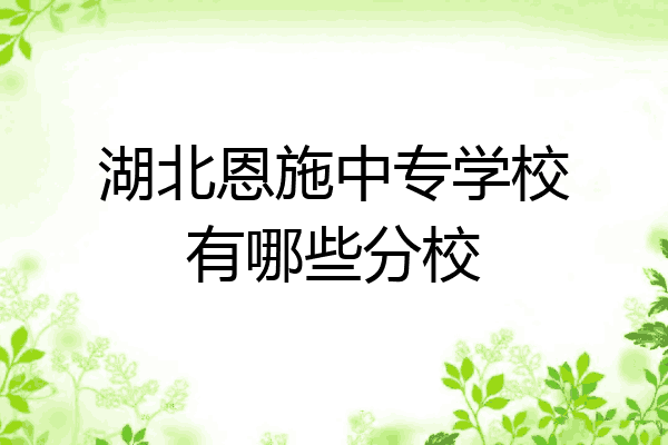 湖北恩施中专学校有哪些分校