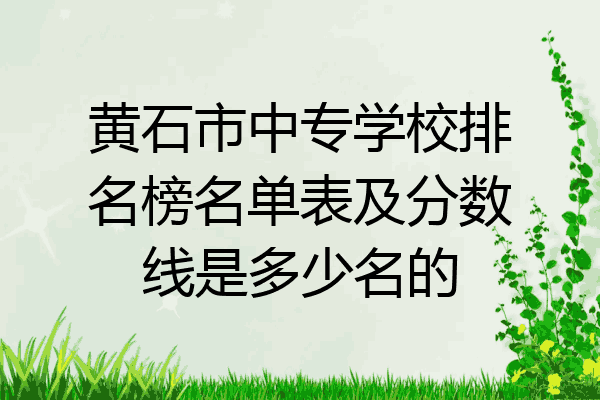 黄石市中专学校排名榜名单表及分数线是多少名的