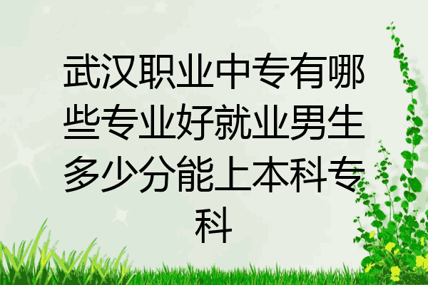 武汉职业中专有哪些专业好就业男生多少分能上本科专科
