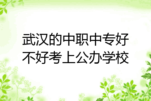 武汉的中职中专好不好考上公办学校