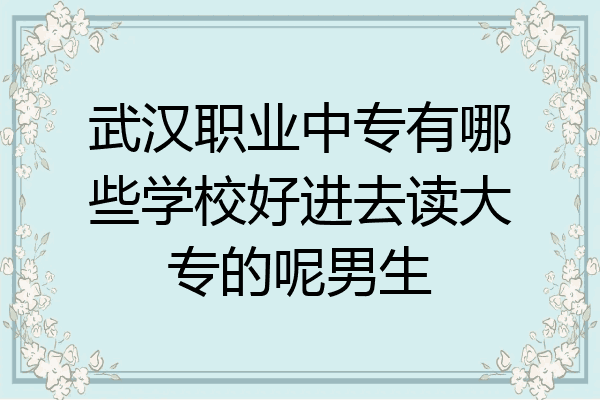 武汉职业中专有哪些学校好进去读大专的呢男生