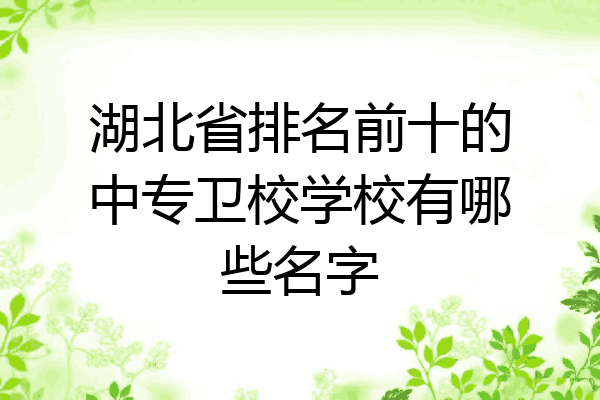 湖北省排名前十的中专卫校学校有哪些名字