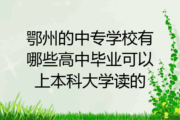 鄂州的中专学校有哪些高中毕业可以上本科大学读的