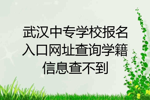 武汉中专学校报名入口网址查询学籍信息查不到