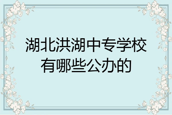 湖北洪湖中专学校有哪些公办的