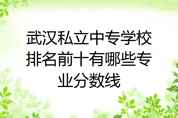 武汉私立中专学校排名前十有哪些专业分数线