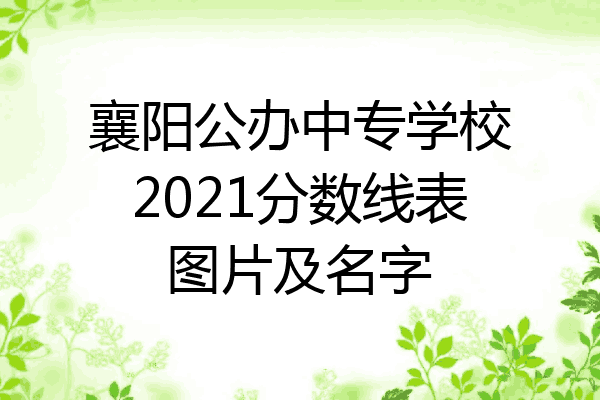 襄阳公办中专学校2021分数线表图片及名字