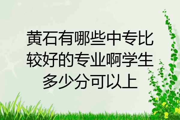 黄石有哪些中专比较好的专业啊学生多少分可以上