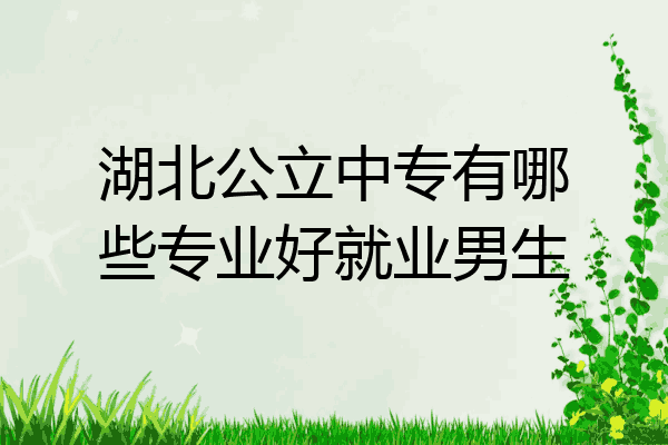 湖北公立中专有哪些专业好就业男生