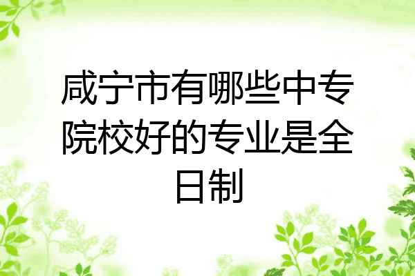 咸宁市有哪些中专院校好的专业是全日制
