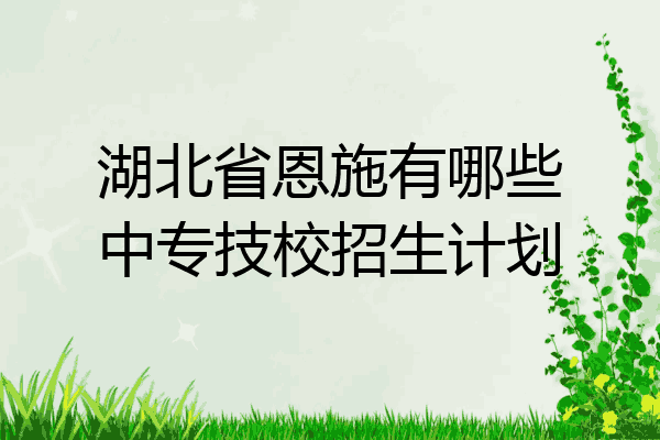 湖北省恩施有哪些中专技校招生计划