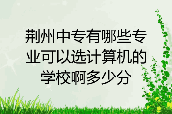 荆州中专有哪些专业可以选计算机的学校啊多少分