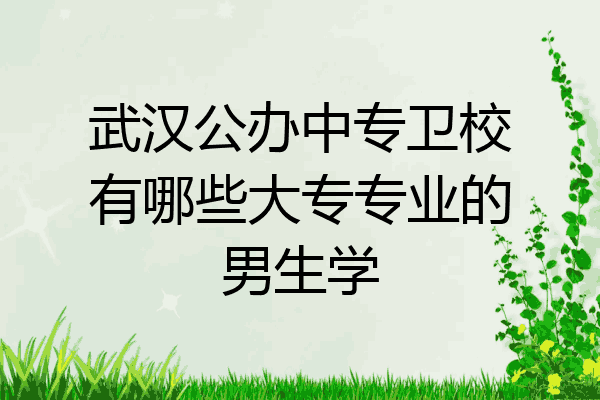 武汉公办中专卫校有哪些大专专业的男生学
