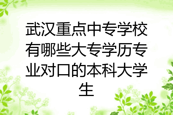 武汉重点中专学校有哪些大专学历专业对口的本科大学生