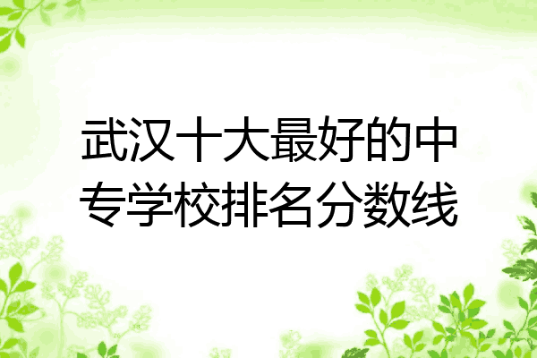 武汉十大最好的中专学校排名分数线