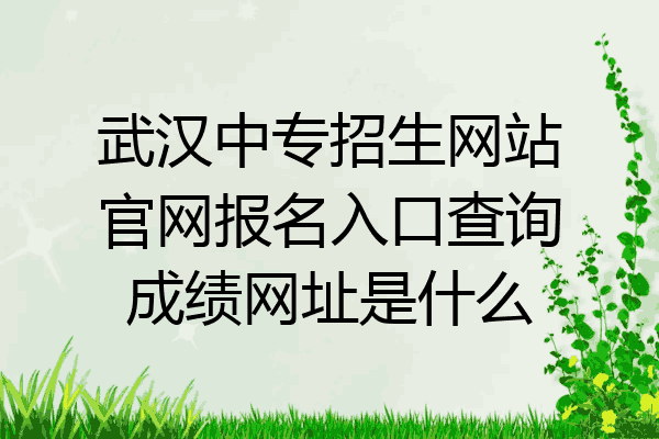 武汉中专招生网站官网报名入口查询成绩网址是什么