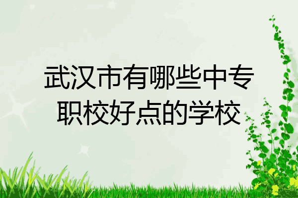 武汉市有哪些中专职校好点的学校