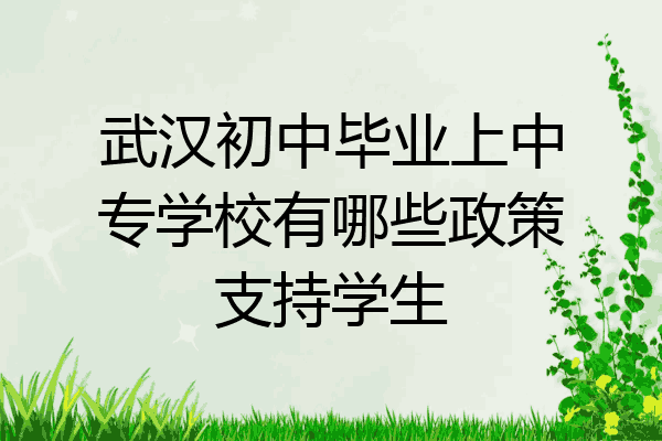 武汉初中毕业上中专学校有哪些政策支持学生
