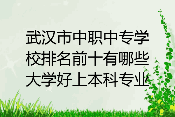 武汉市中职中专学校排名前十有哪些大学好上本科专业